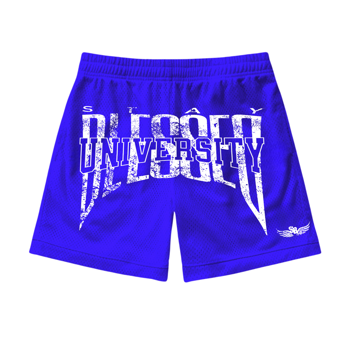 Unisex Stay Blessed University - Mesh Shorts