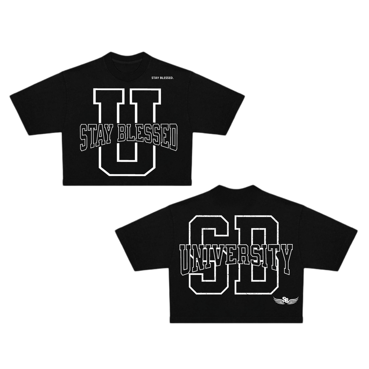 Stay Blessed University OS Crop Tee