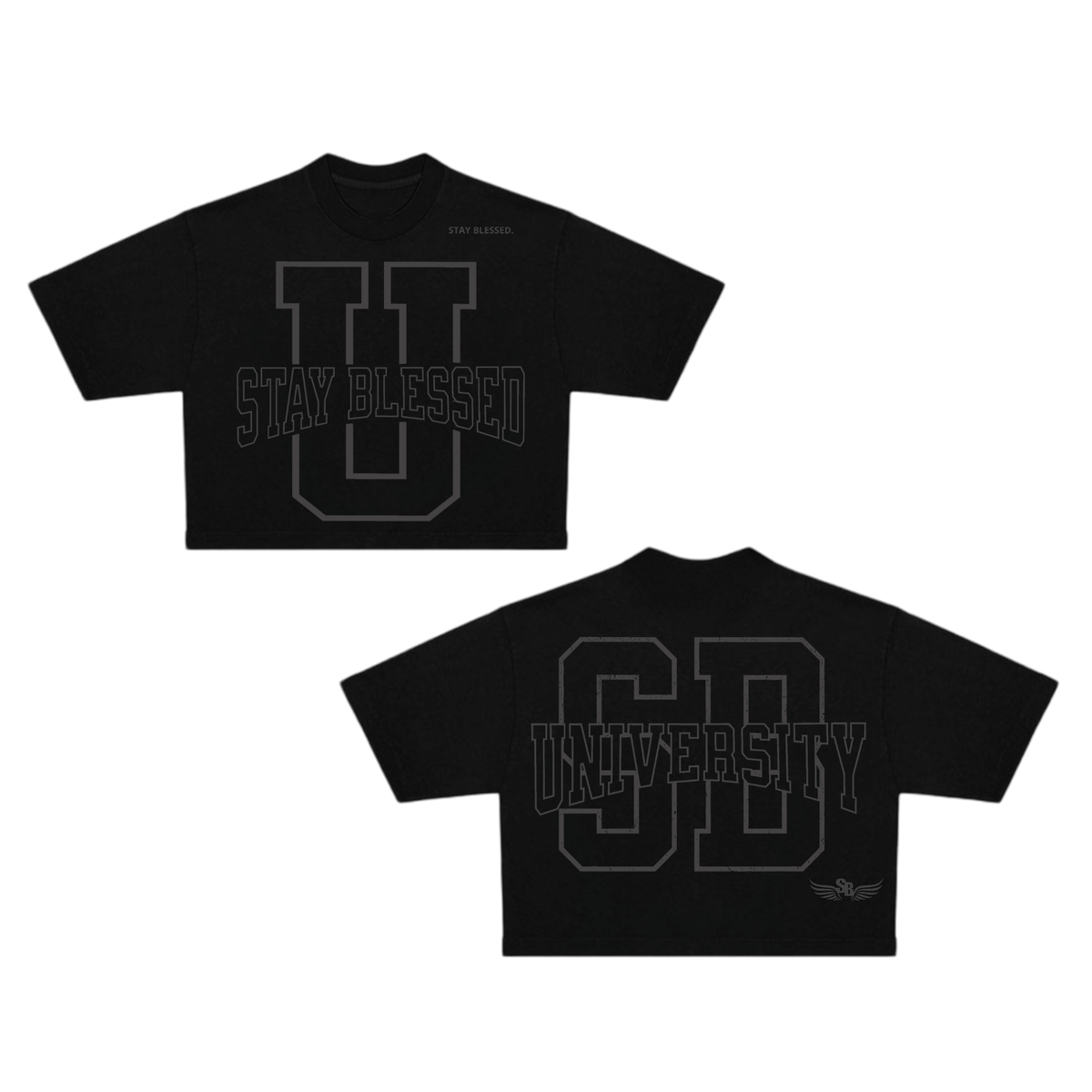 Stay Blessed University OS Crop Tee