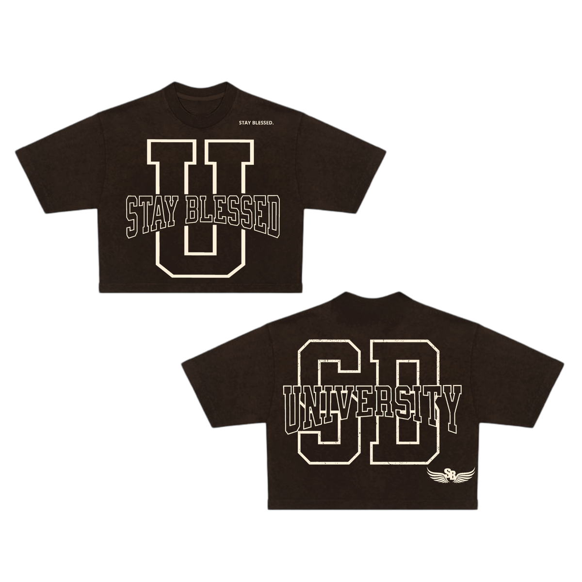 Stay Blessed University OS Crop Tee