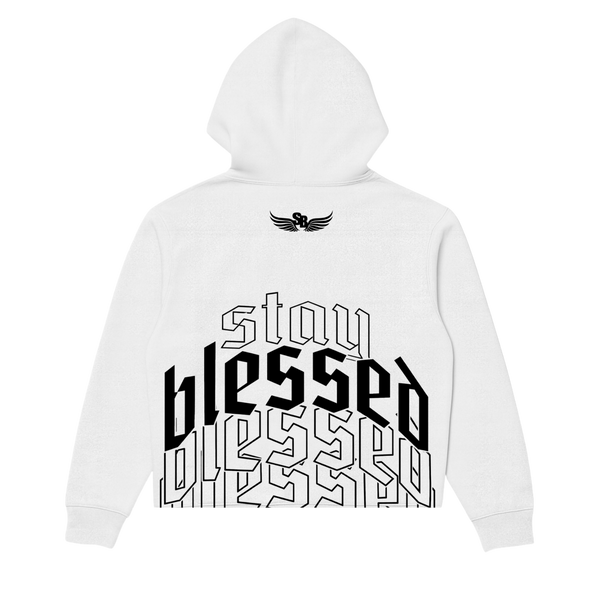 University Crop Hoodie