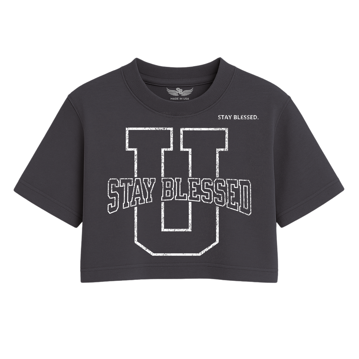 Stay Blessed University OS Crop Tee