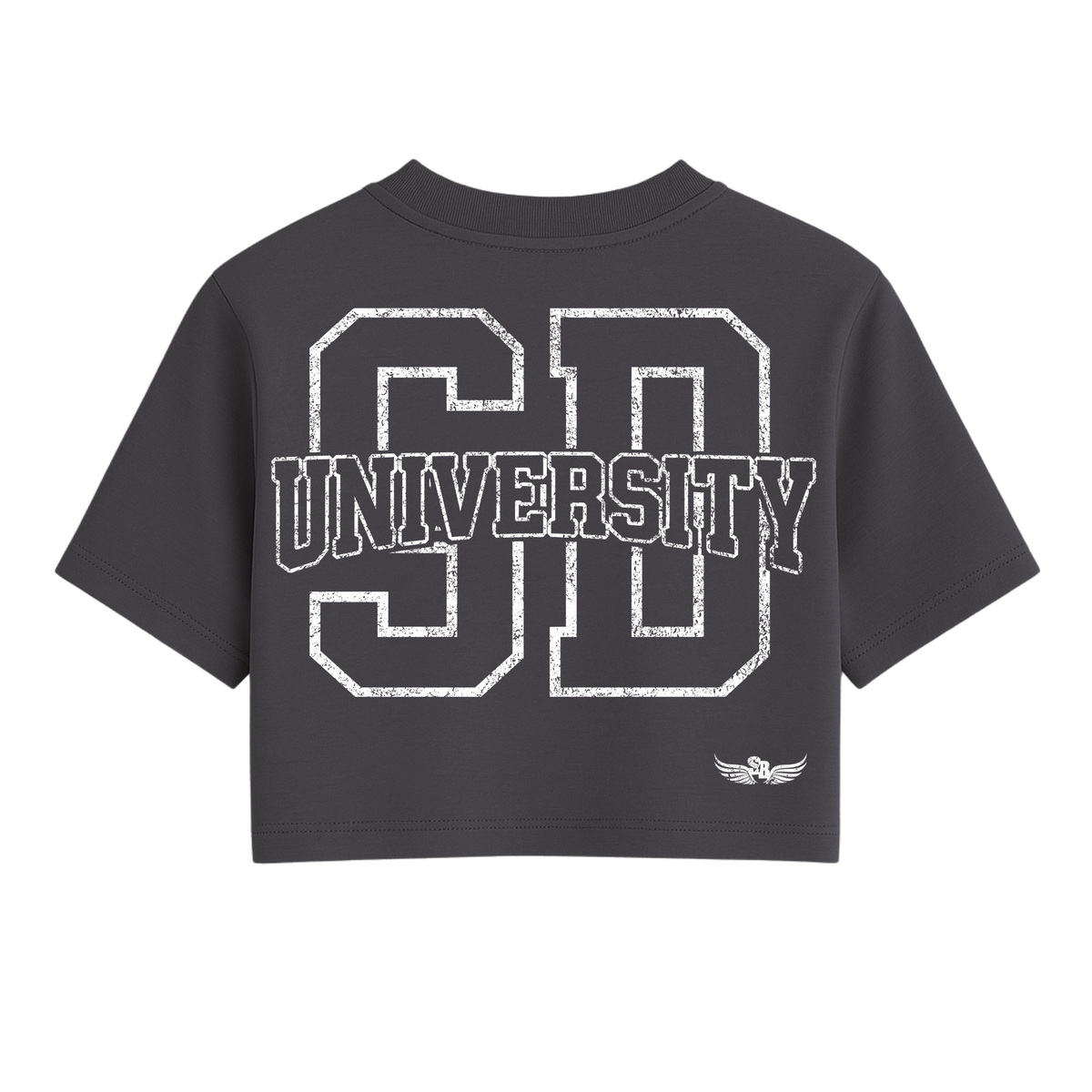 Stay Blessed University OS Crop Tee