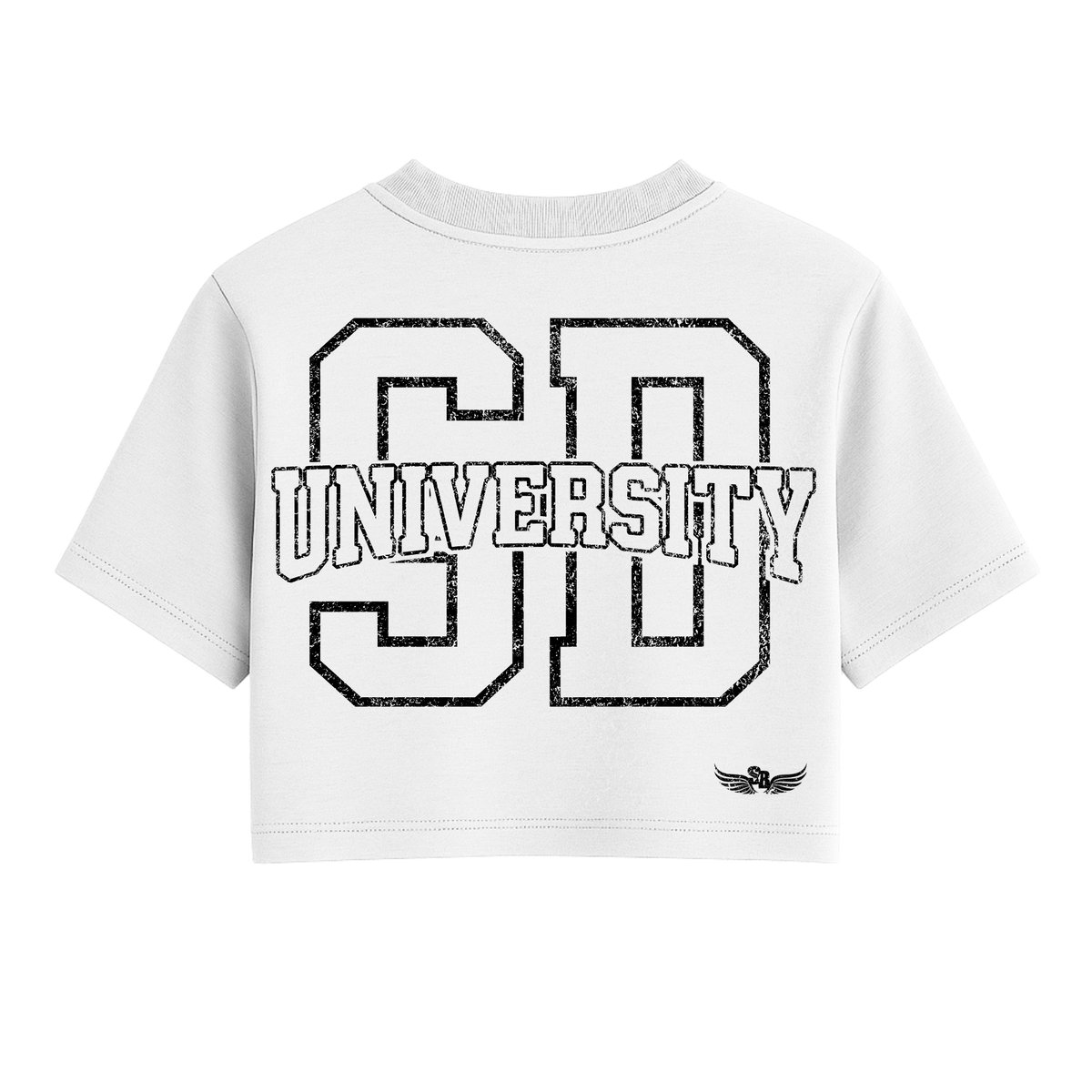 Stay Blessed University OS Crop Tee