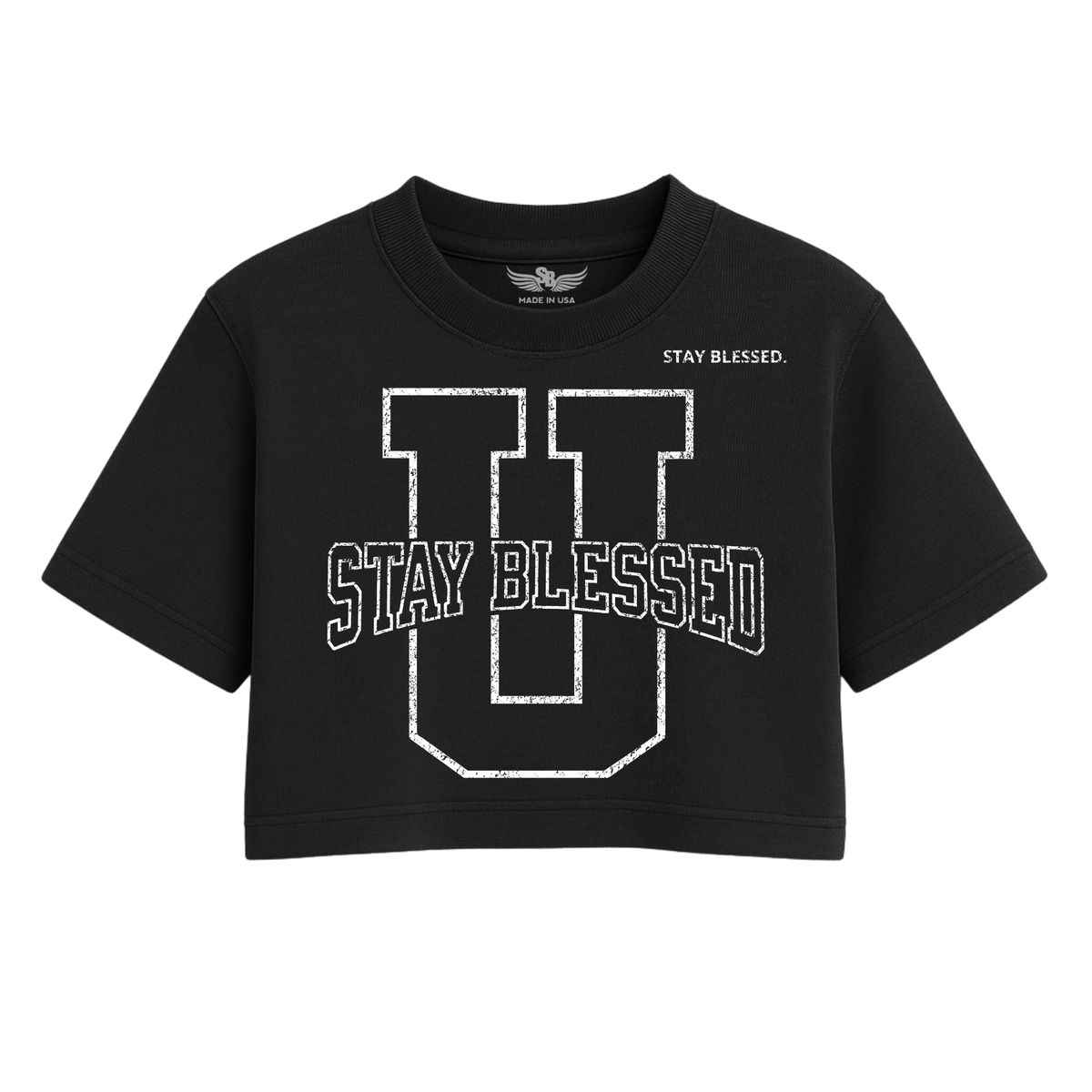 Stay Blessed University OS Crop Tee