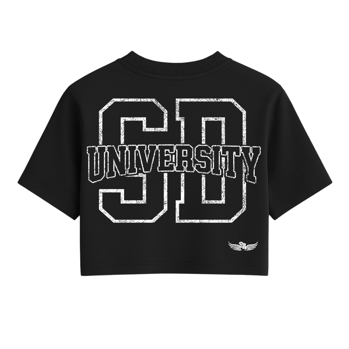 Stay Blessed University OS Crop Tee