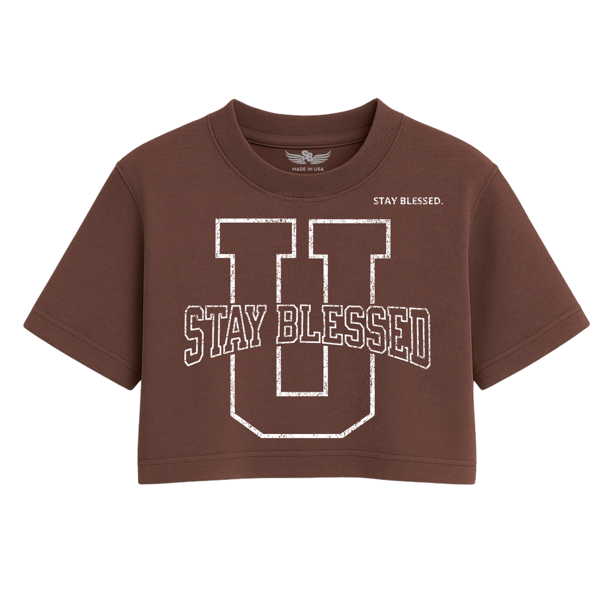 Stay Blessed University OS Crop Tee