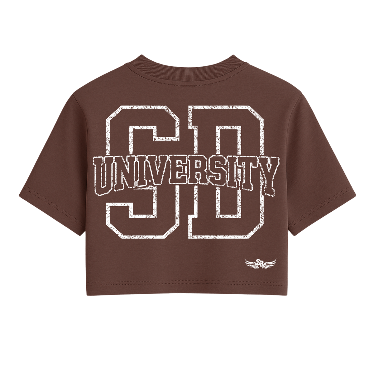 Stay Blessed University OS Crop Tee