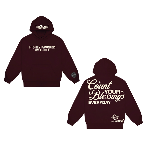 Unisex Highly Favored Hoodie - Special Edition