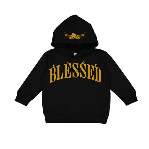 Unisex Kids Alma Mater Hoodie