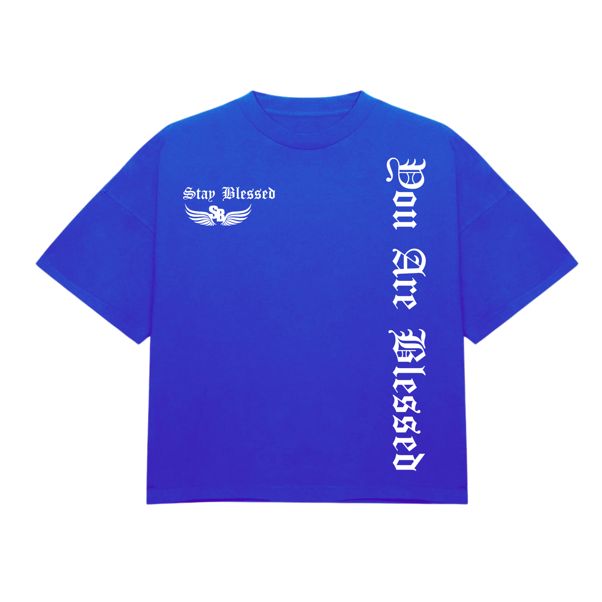 Stay Blessed - You Are Blessed T-Shirt