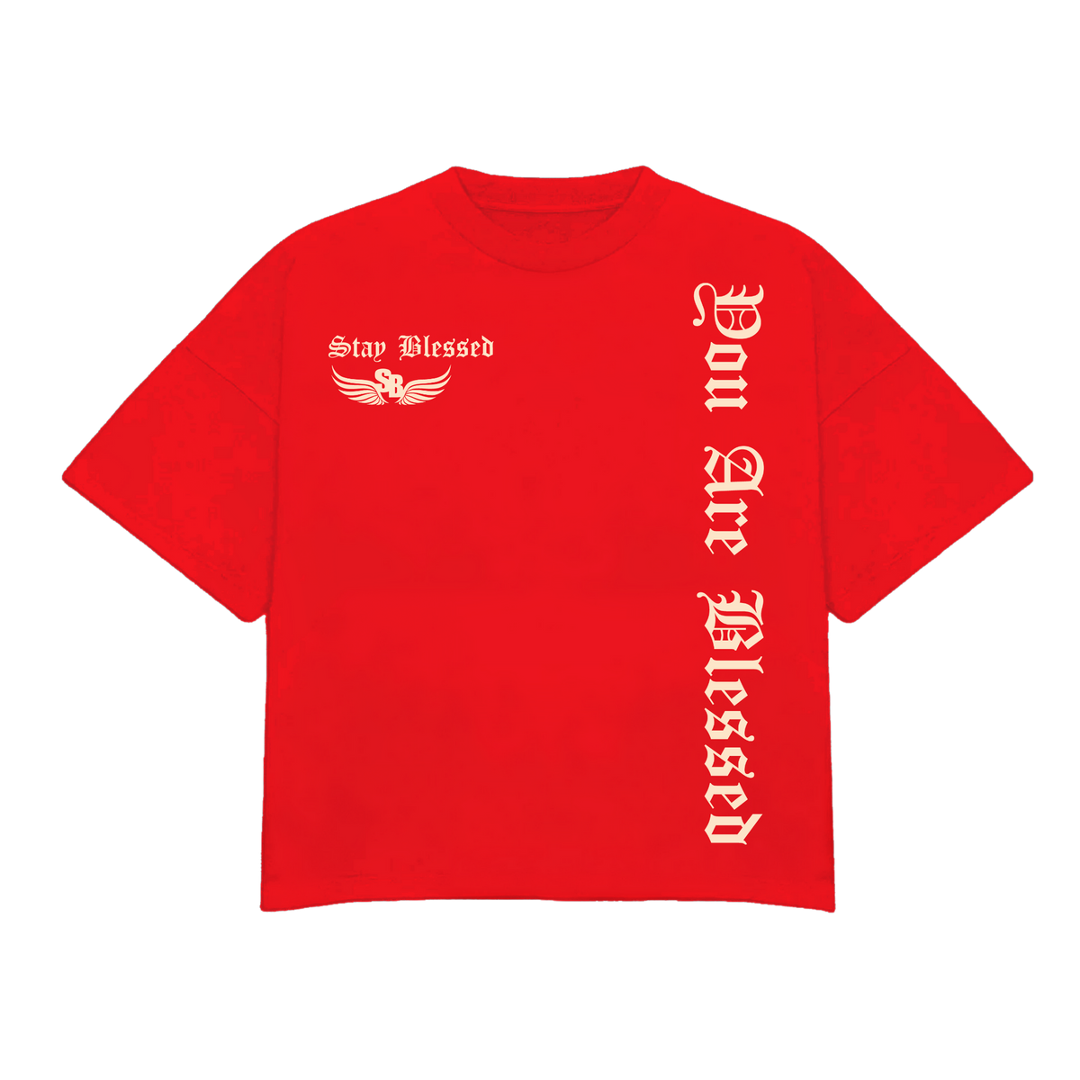 Stay Blessed - You Are Blessed T-Shirt