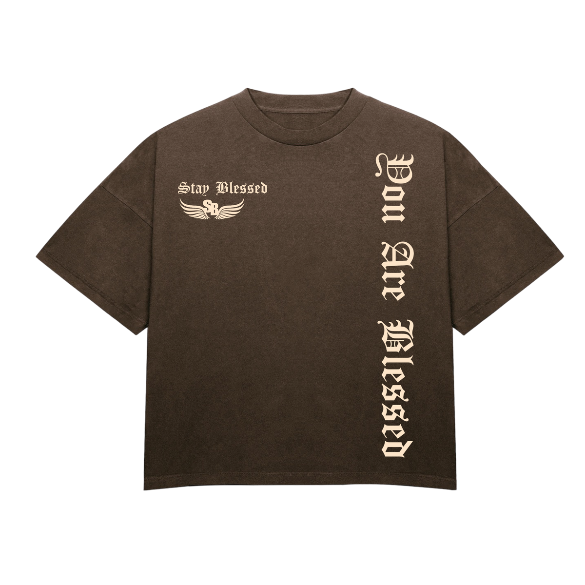 Stay Blessed - You Are Blessed T-Shirt