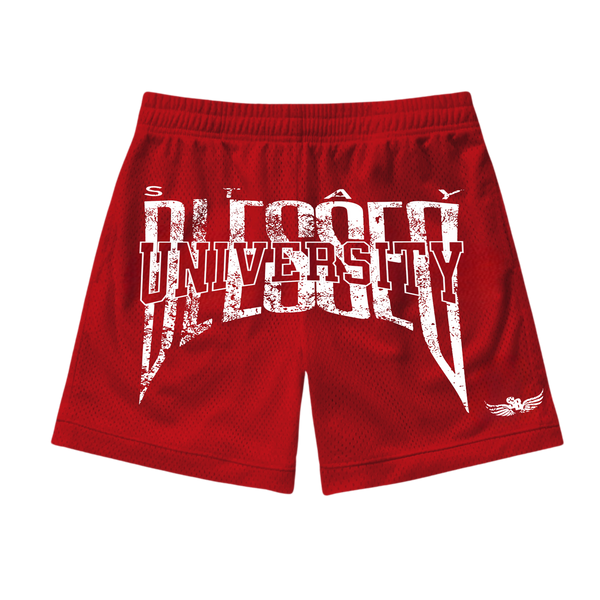 Unisex Stay Blessed University - Mesh Shorts